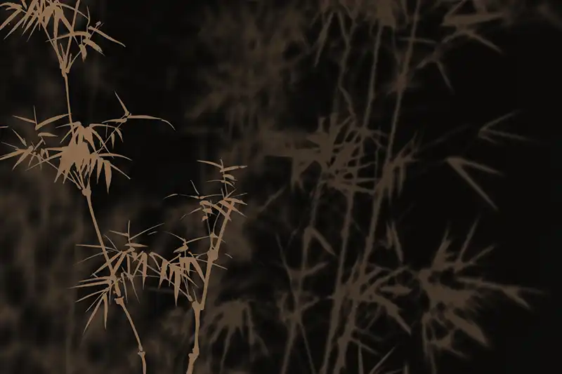 Shadows-of-the-Bamboo - Thumbnail 4